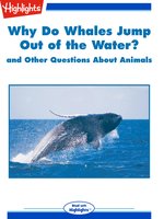 Why Do Whales Jump out of the Water? and Other Questions About Animals